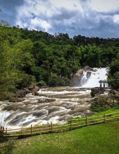 Aruvi Resorts Munnar