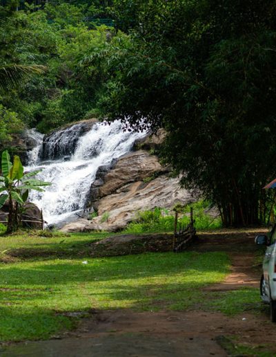 Aruvi Resorts Munnar
