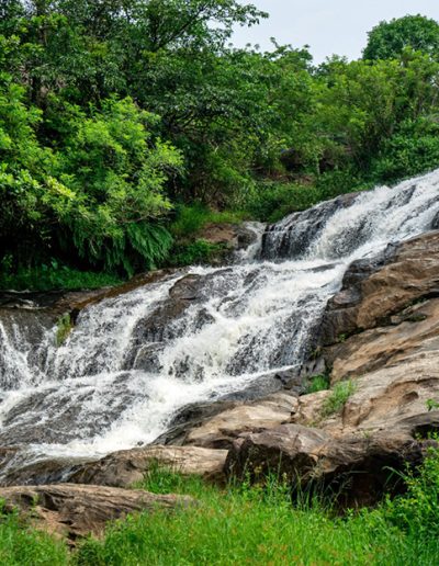 Aruvi Resorts Munnar